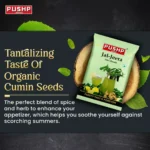 Jal Jeera Masala - Image 2