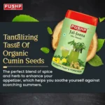 Jal Jeera 100g Sprinkler - Image 2