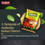Munimji Achar Masala - Image 2