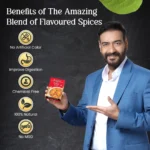 Paneer Masala - Image 4