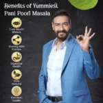 Panipuri Masala - Image 2