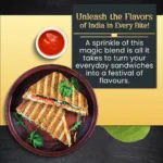 Sandwich Masala 100g Sprinkler - Image 3